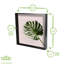 Nicola Spring - 3D Deep Box Photo Frame-55857165-55857158