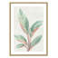 Gingembre II - reproduction d'art-55542016-55542017