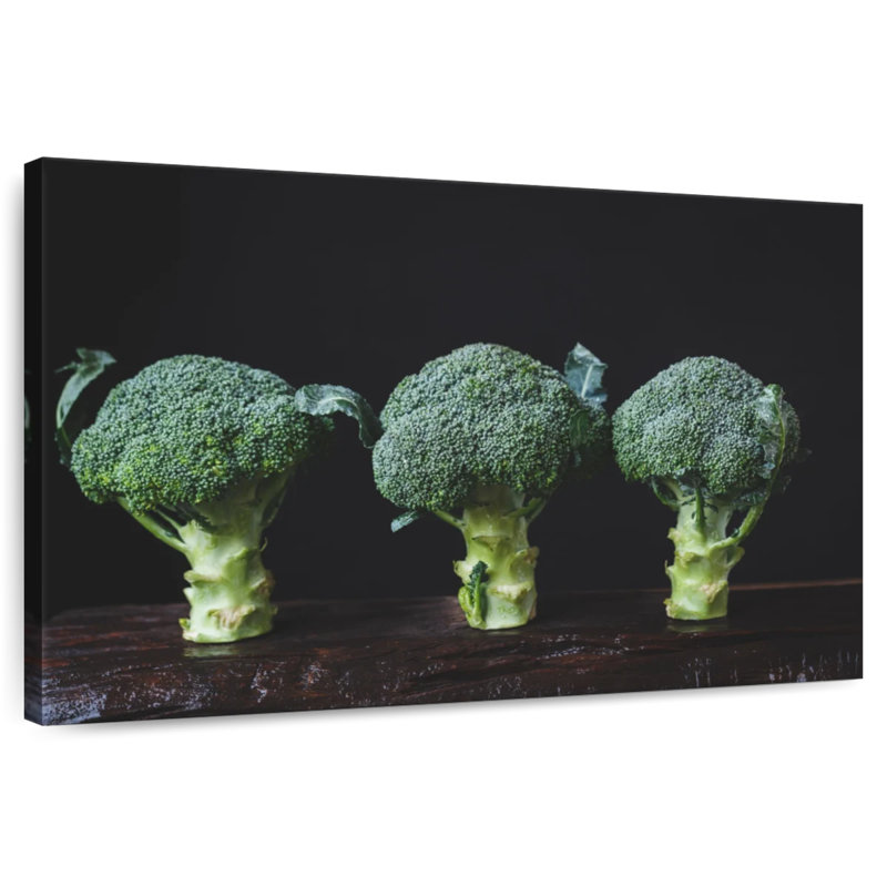 Yarlin Healthy Broccoli, 16" H x 24" W