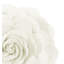  Housse de coussin en polyester-86924935-86924936-86924943