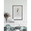 The Hippocampus - Single Picture Frame Print-1276294739