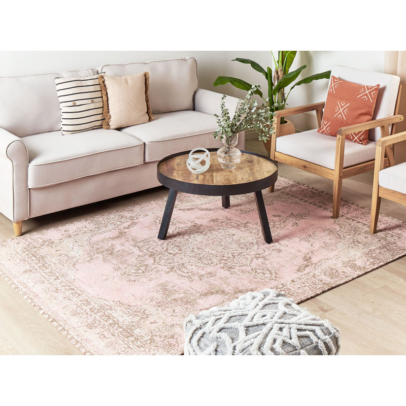 Aian Area Rug, Rectangle 200 x 300cm