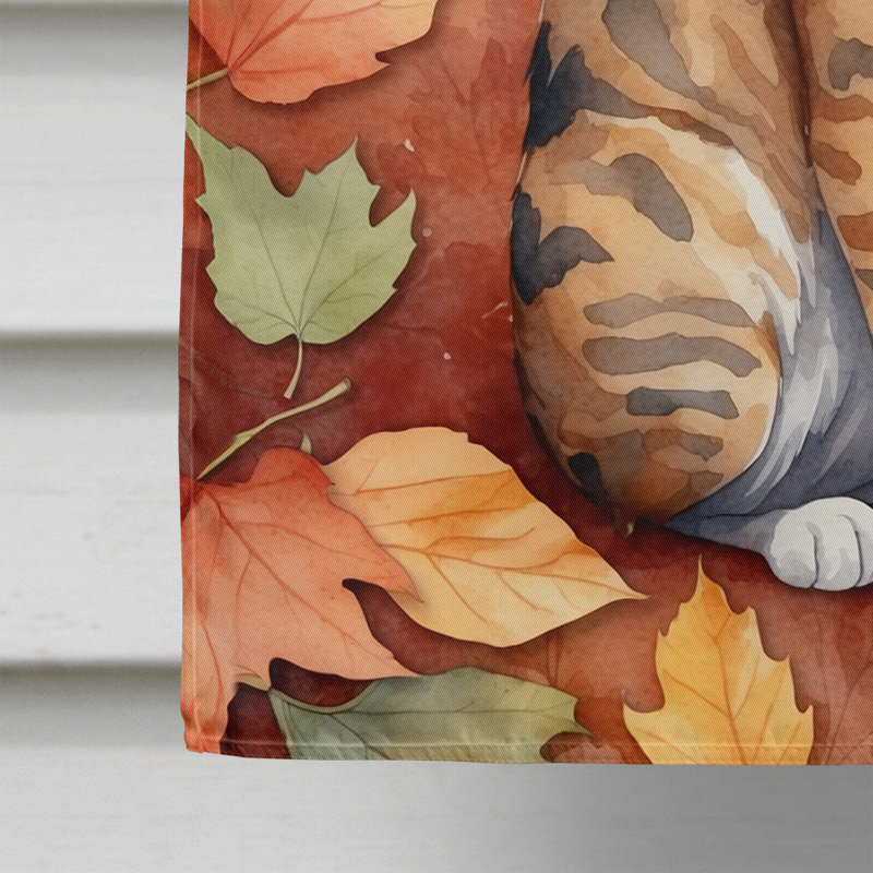 Chat en feuilles d'automne, Oregon Rex