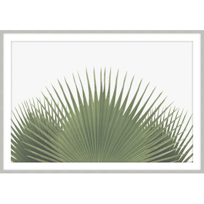 Tropical Leaves " Tropical Leaves 2 " by Studio L57 Narrative