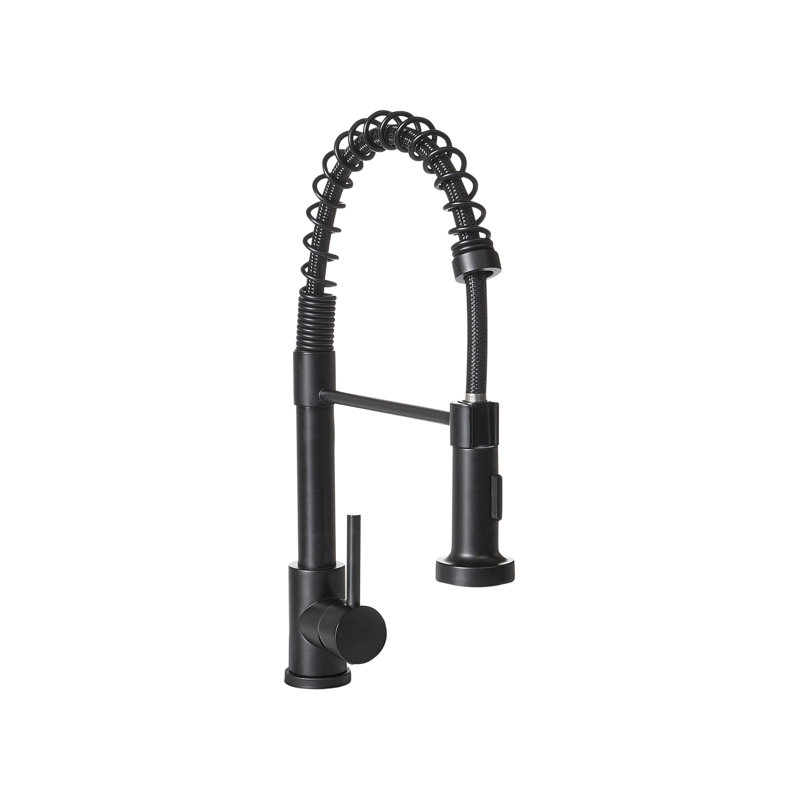 Belfry Kitchen Kitchen Faucet, Matte Black