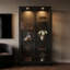 Vitrine lumineuse en verre avec portes coulissantes et tablettes intérieures en verre pour le salon ou le bureau, noir