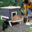 Maison pour chat Eyuel-1694802997