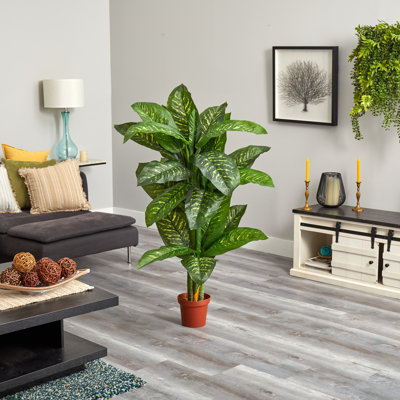 60'' Faux Dieffenbachia Plant in Wood Planter