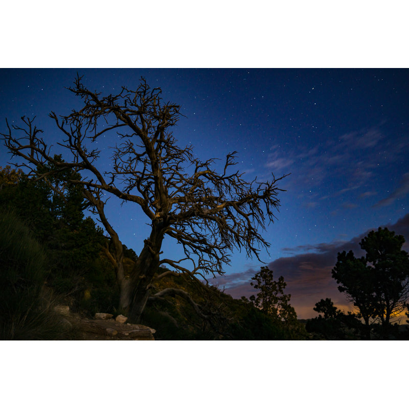 Lesa Mesa Verde National Park - Wrapped Canvas Print, 30cm H x 46cm W x 3.8cm D