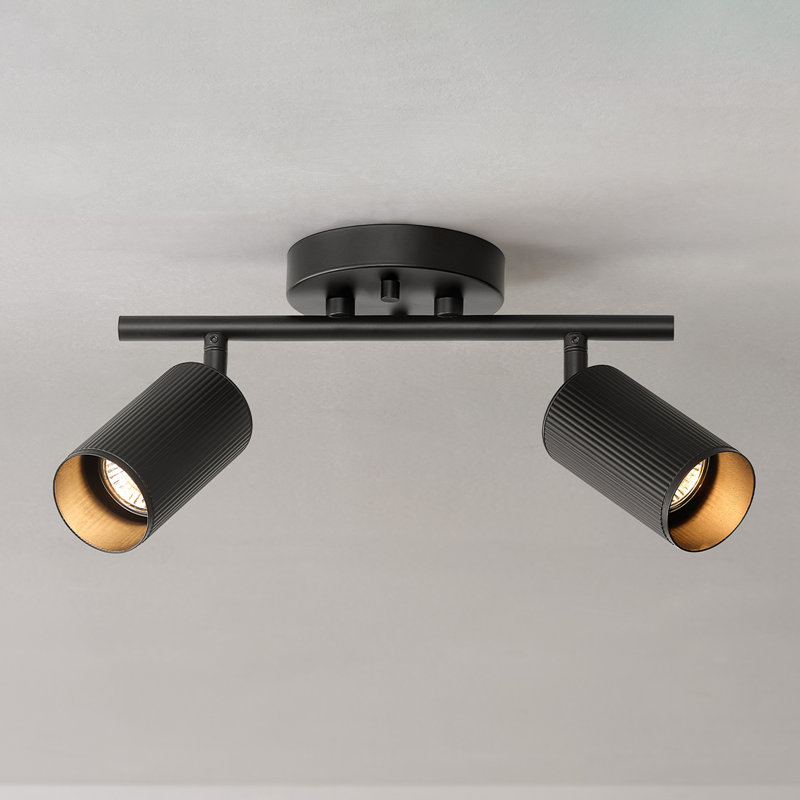 Projecteur sur rail noir 2 lumières Pratt