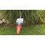 Art de jardin perroquet gris royal africain