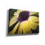 Toile épique Graffiti «Droplet Of The Flower 2» par Life BeautifuLEE, 26 po x 18 po-1275951463