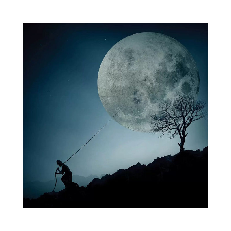 The Dreamer by Final Toto - Print, Wrapped Canvas, 12" H x 12" W x 0.75" D, No Mat