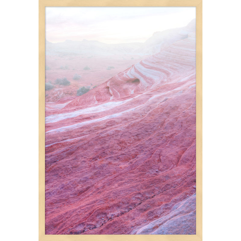 Desert Dream 1 Print by Mat Sanders