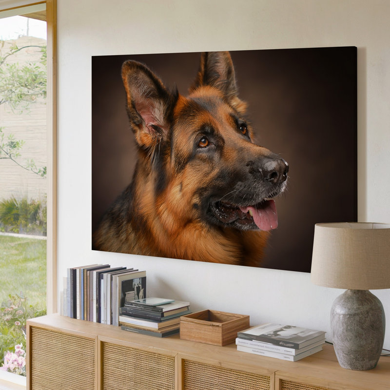Reproduction d'art sur toile, portrait d'un berger allemand de près, 20 x 30 in