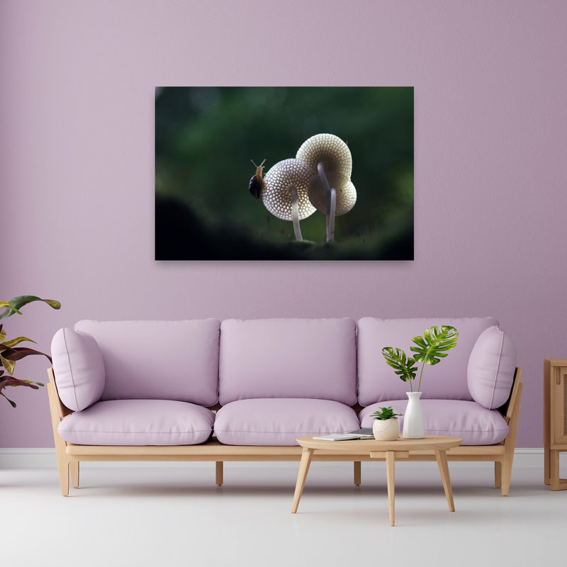 Snail On Delicate Mushrooms Delicate Ethereal Organic Forest Nature Wall Art Print 1 Piece Wrapped Canvas Wall Art