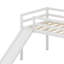 Lit mezzanine avec glissade-1998909722