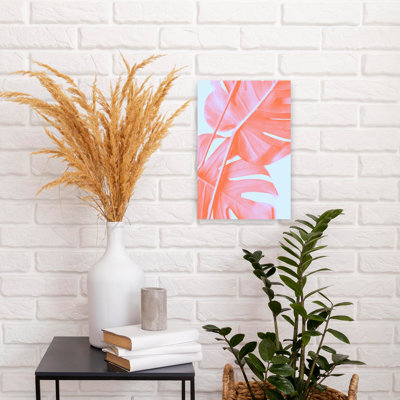 Coral Monstera