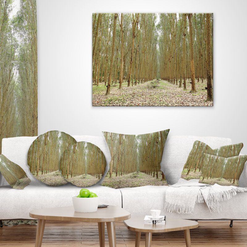 Hévéa, arbres en caoutchouc en Thaïlande - coussin décoratif imprimé forêt, 16 po x 1 po, Carré