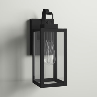 Schlesinger Outdoor Wall Lantern