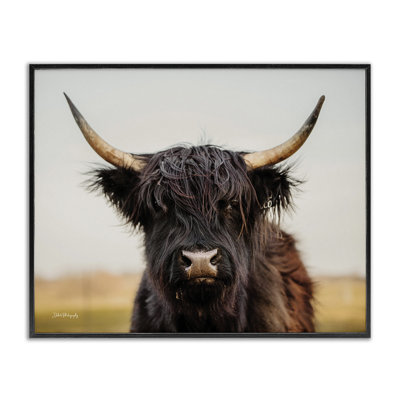 Black Highland Cow par Dakota Diener