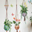 Plantes vertes autocollantes murales, décor botanique en PVC auto-adhésif repositionnable