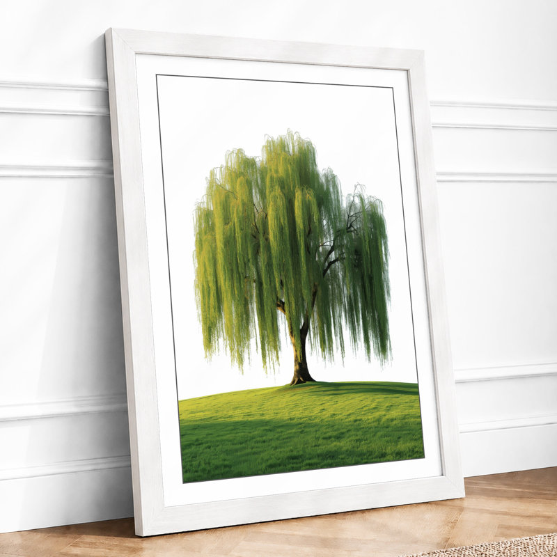 Weeping Willow Botanical - Framed Print, A4 - 29.7 x 21.0 cm, White