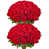 Rouge sélectionné