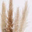 Fausse plante de 65 po en pot Pampas
