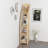 Corner Bookcase