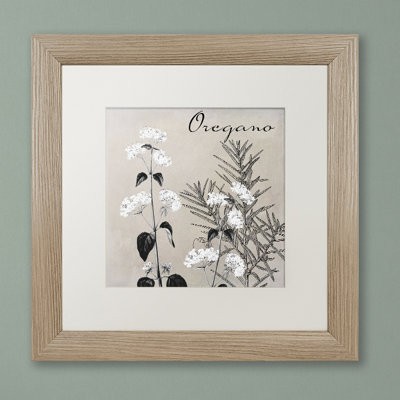 Jadaya 'Flowering Herbs II' by Color Bakery Framed Graphic Art