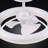 Aashini 13'' Ceiling Fan with LED Lights