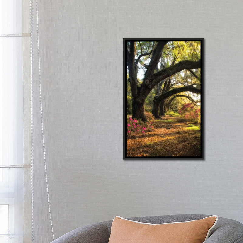 « under the live oaks ii », reproduction de photo sur toile, H 26 po x l 18 po x P 1,5 po, Toile avec cadre noir