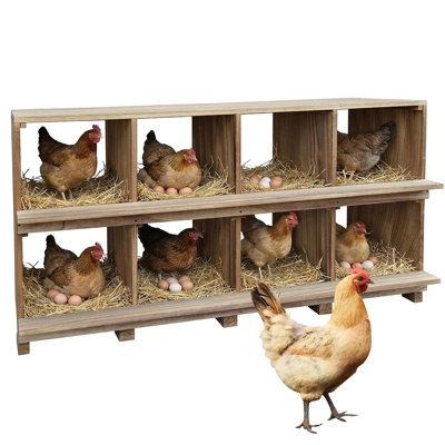 Wooden Chicken Nesting Box 8 Compartment Wall-Mounted with Perch, Solid Wood Laying Box for Hens, Prevents Egg Falls, Perfect for Backyard & Farm Coops