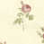 Vanille / rose sélectionné