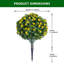 60cm Plant