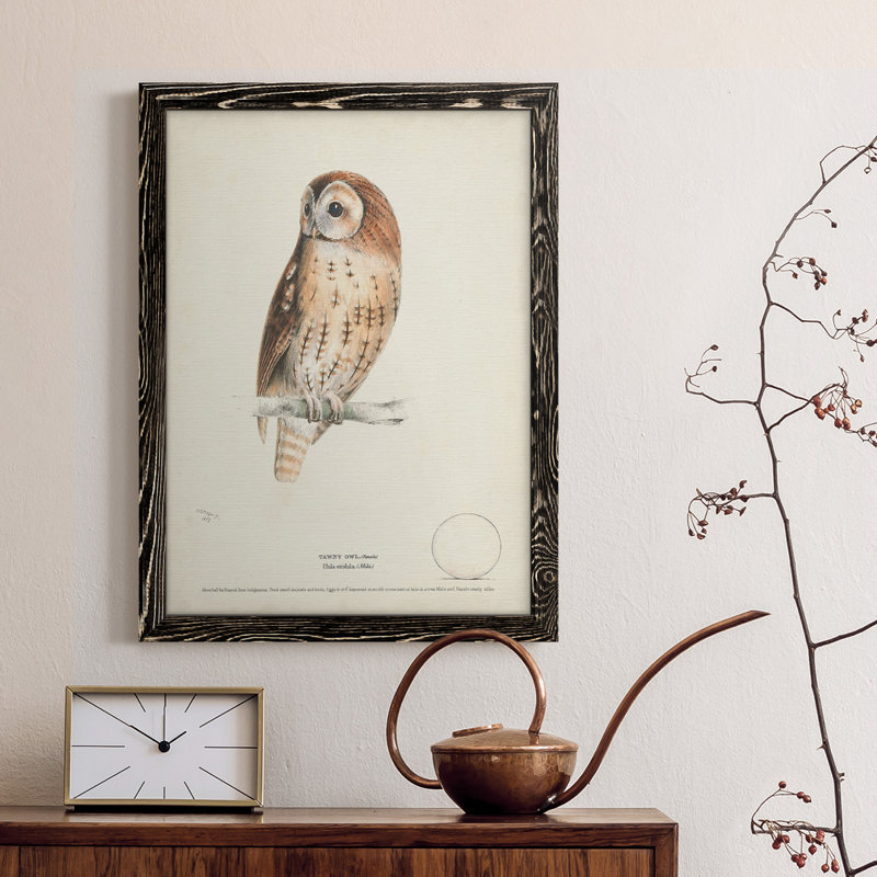 Toile encadrée de qualité supérieure Tawny Owl - prête à être accrochée, H 32 po x l 23 po x P 1 po, Noir