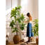 Plantes et arbres en plastique vert 9,65 po