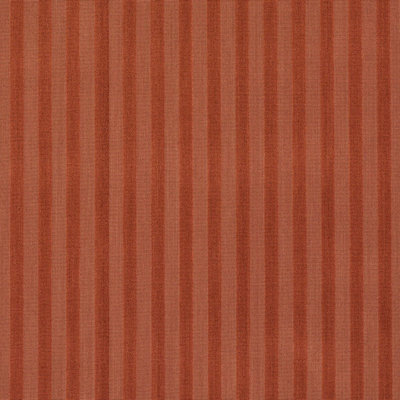 Schumacher X Laura Gonzalez Pipe Illusion Fabric
