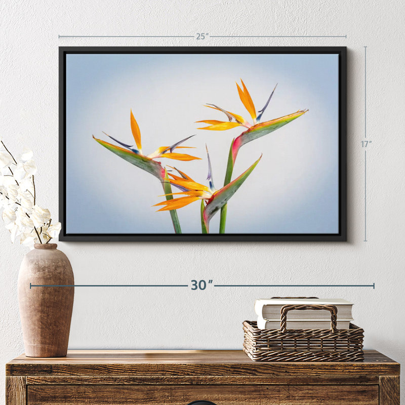 Impression sur toile jaune Strelitzia jaune, H 17 po x l 25 po