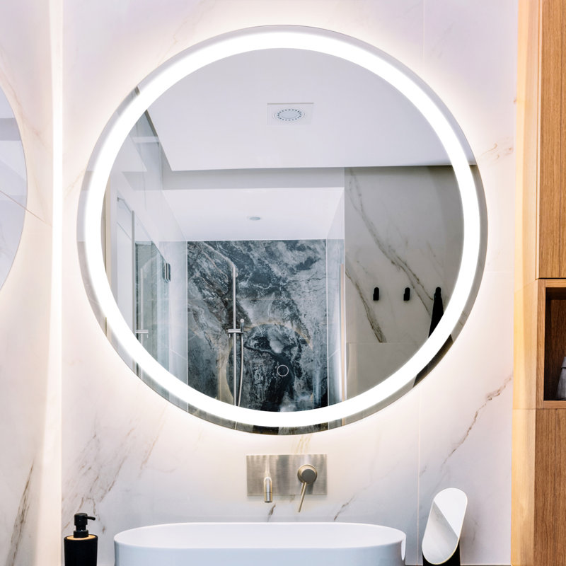 Dane 28 in. W x 36 in. H Large Oval Frameless Dimmable Anti-Fog Front and Backlit Tri-Color LED Wall Bathroom Vanity Mirror