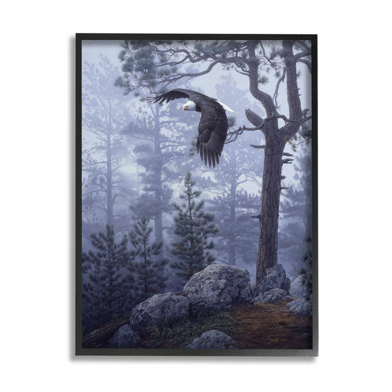 «Eagle Flying Woodland Scene» encadré sur bois par Daniel Smith, photographie, Giclée encadrée noir minuit