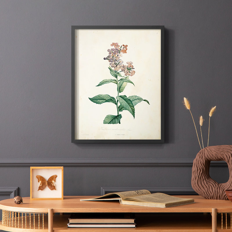«Traditional Botanical II», reproduction encadrée - bois massif, Noir, H 10 po x l 8 po