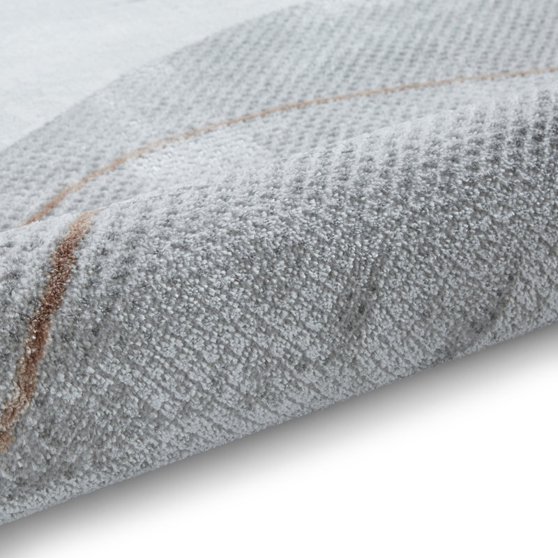 Apollo area rug Machine Woven Rectangle, Rectangle 200 x 290cm