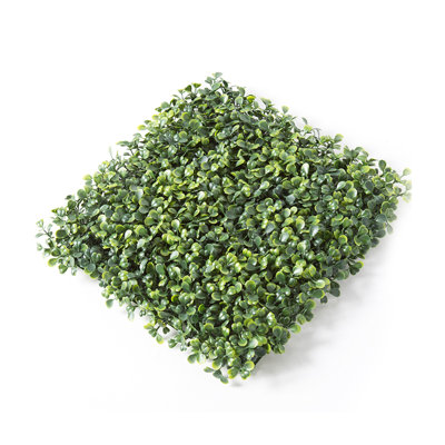Herbe de buis artificielle