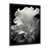 Cadre photo noir