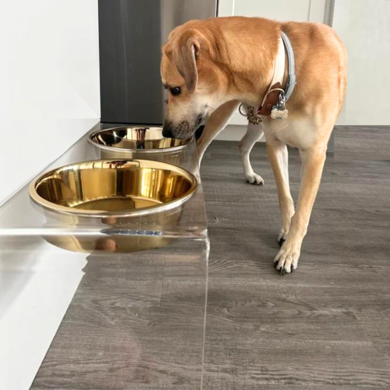 Tall Clear Elevated Feeder with Bowls, Gold