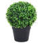27cm Faux Boxwood Plant in Pot