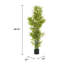 Ensemble de plantes Nadia-132797845-132797844