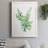Eucalyptus III " Eucalyptus III "-123990515-123990512